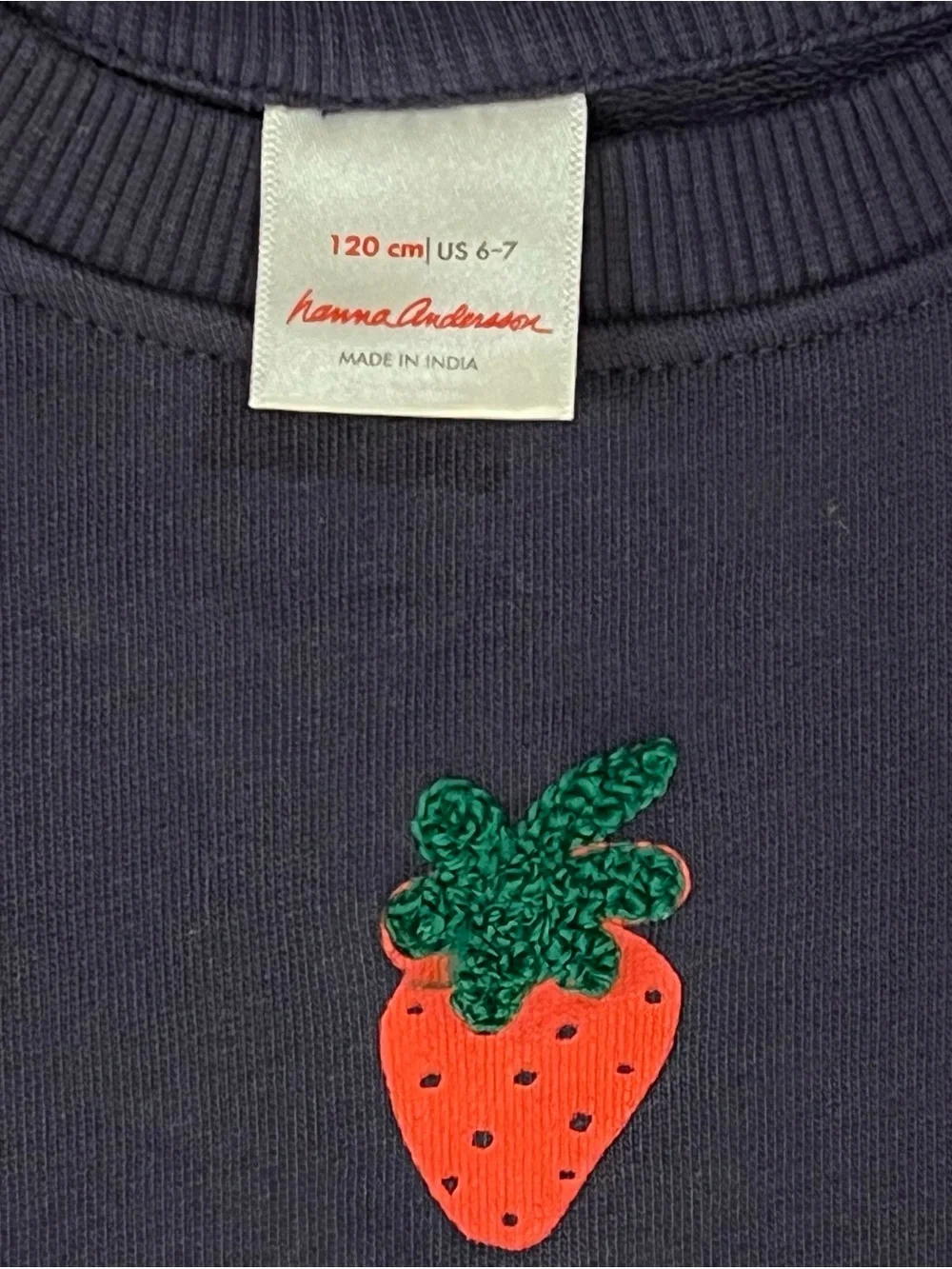 Hanna Andersson Navy Sweatshirt with Pink & Green Strawberry Appliqués